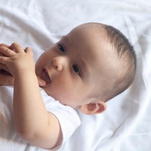 پاکی آوردی ای امید سپید